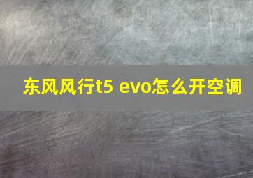 东风风行t5 evo怎么开空调